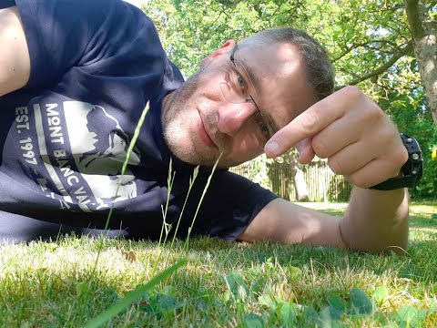#42 Von der Vielfalt des Rasenmähens